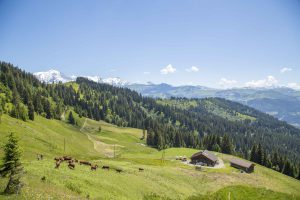 Refuge du Plan de l'Are sur le GR Tour du Pays du Mont-Blanc