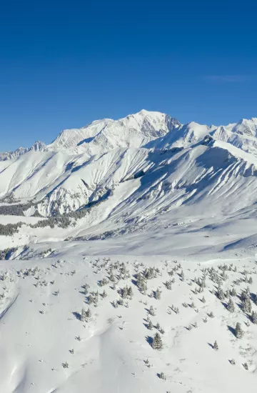 ski