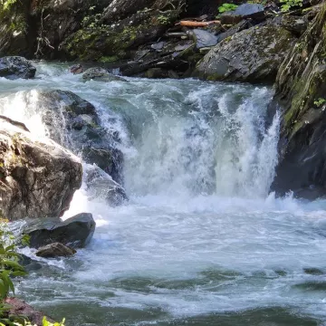 cascade de la grotte