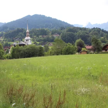 Goûter et sieste au son du violon