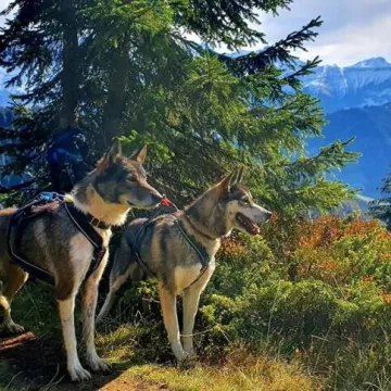 3D Nordic_Praz-sur-Arly