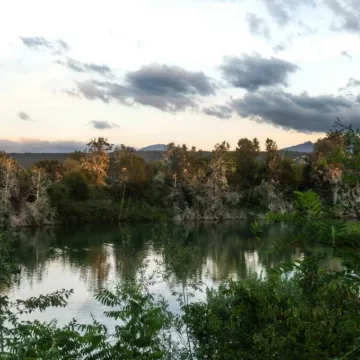 Visite au crépuscule de la Réserve Naturelle du Delta de la Dranse_Thonon-les-Bains