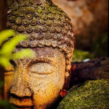 Atelier méditation_Cordon