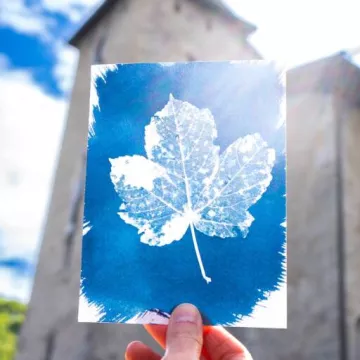 Au labo sur les quais : I've got the bleu !_Sallanches