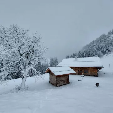 La Lozde_Praz-sur-Arly