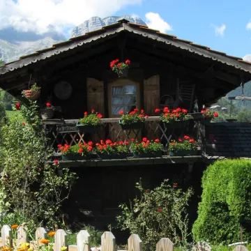 Patrimoine express_Cordon