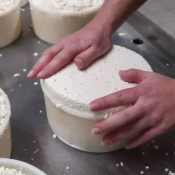 Visite à la ferme, traite des vaches et fabrication du fromage_Cordon