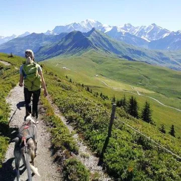 Cani Rando Praline à la journée_Praz-sur-Arly