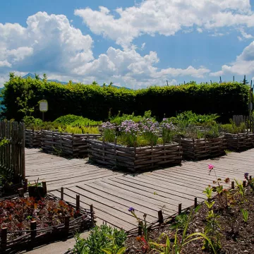 Visite guidée du Jardin des Cimes_Passy