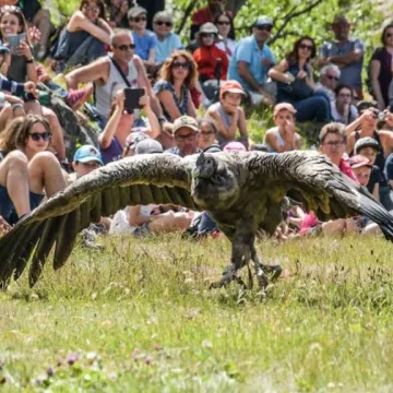 Spectacle "Les aigles du Léman"_Les Houches
