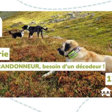 Causerie : Patou randonneur, besoin de décodeur