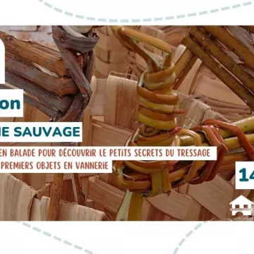 Initiation : Vannerie sauvage