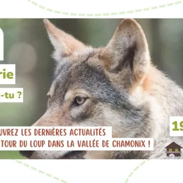 Causerie : "Loup y es-tu ?"