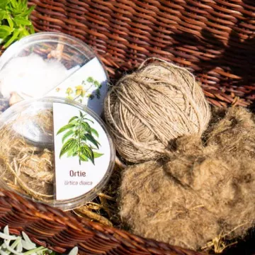 Au labo sous les marronniers : Avoir la fibre_Sallanches
