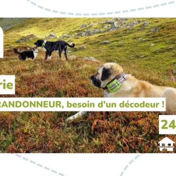 Causerie : Patou randonneur, besoin d'un décodeur