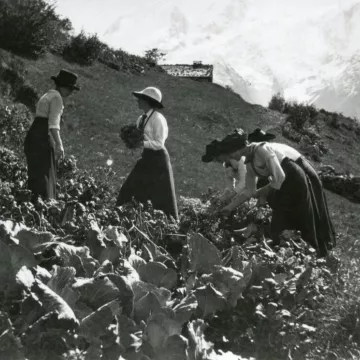 Atelier : Potager de papier_Les Houches
