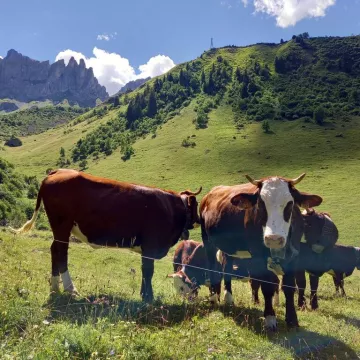 Le réveil des alpages_Saint-Gervais-les-Bains