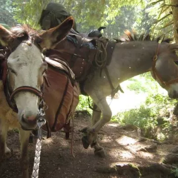 Rando Anes et bivouac - sortie accompagnée pour les enfants_Cordon