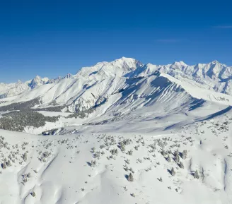 ski