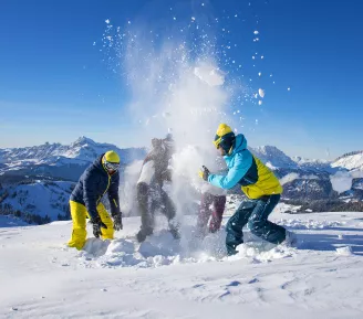 ski