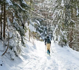 ski de rando