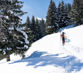 ski rando