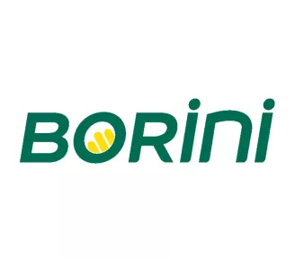 Borini