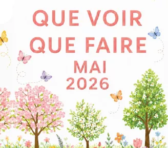 fleurs, abeilles 