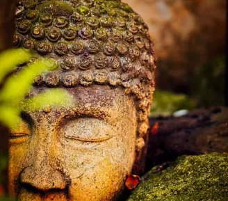 Atelier méditation_Cordon