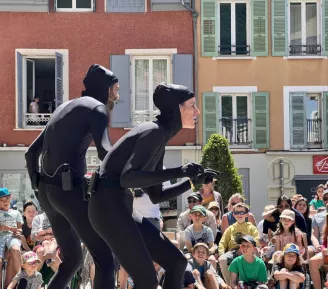 Spectacle aux berges - Spectacle Service Ultra Secret_Praz-sur-Arly