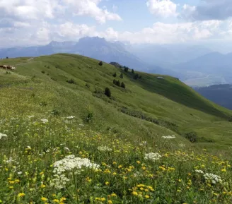 Sortie Nature - Découverte de la biodiversité avec Natura 2000_Cordon