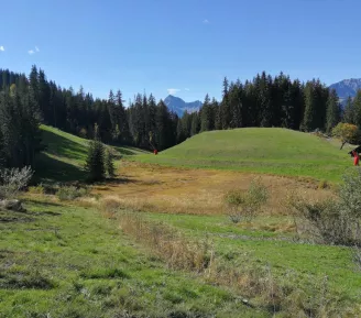 Tourbière des Evettes Randonnée accompagnée : Des glaciers aux zones humides_Praz-sur-Arly