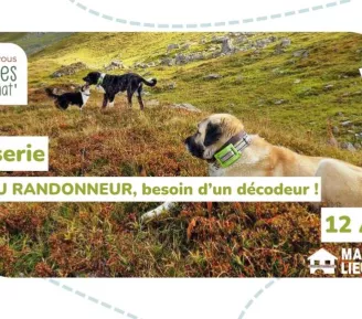 Causerie : Patou randonneur, besoin de décodeur