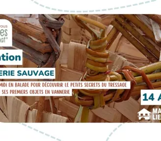 Initiation : Vannerie sauvage