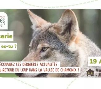Causerie : "Loup y es-tu ?"