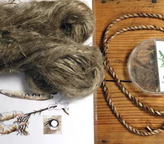 Au labo des Ilettes :  Avoir la fibre_Sallanches