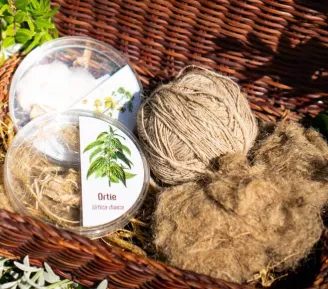 Au labo sous les marronniers : Avoir la fibre_Sallanches