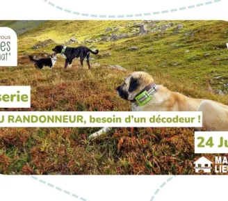 Causerie : Patou randonneur, besoin d'un décodeur