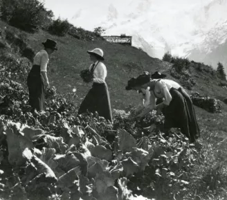 Atelier : Potager de papier_Les Houches