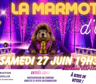 La Marmotte d'Or - Spectacle de théâtre d'impro