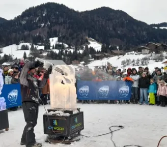 Show sculpture sur glace_Praz-sur-Arly
